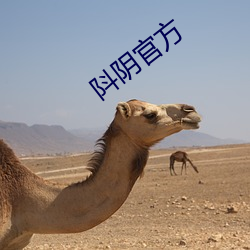 阧陰官方