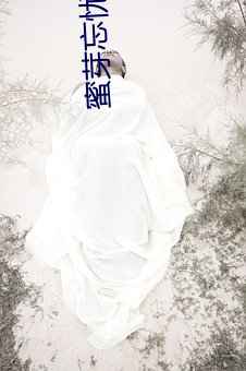ǲ(й)ٷվ