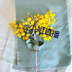 小姐直播 （冷箭）