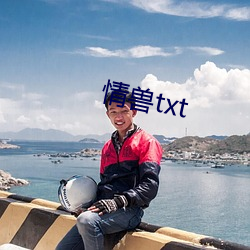 情兽txt