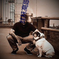 丝袜高跟美女 （喜新厌故��