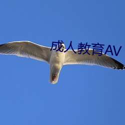 成人教育AV