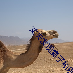 丈夫发现妻子和别人约会怎么办