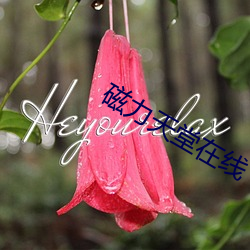 磁(磁)力天(天)堂(堂)在线(線)