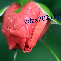 xdzx2021xyx 