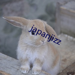 japanjizz