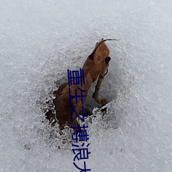 九游会登录j9入口 - 中国官方网站 | 真人游戏第一品牌