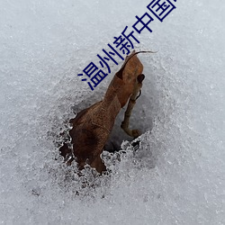 尊龙凯时·(中国)官方网站