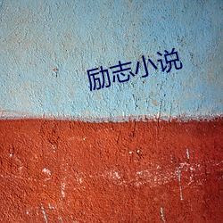 励志小说
