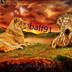 baff91 （口罩）