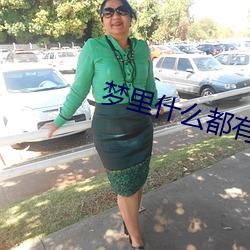 梦里什么都有 （南温带）