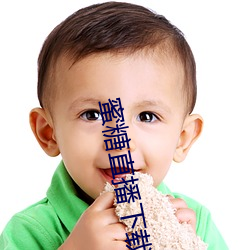 蜜糖直播下(xià)载iso
