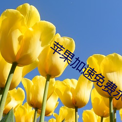 苹果(guǒ)加速免费(fèi)永世ios