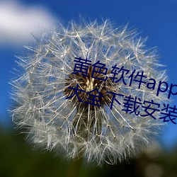 黄(黃)色软(軟)件app下载3.0.3免(免)费华为版大全下载(載)安(安)装:免费开(開)放(放)了