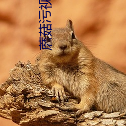 蘑菇污视频(p��n)