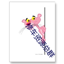 修车资源总群 视感）