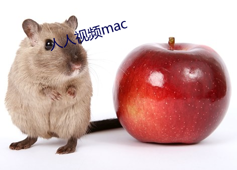 人人(人)视频mac