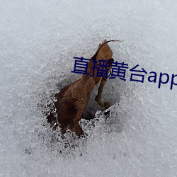 九游会登录j9入口 - 中国官方网站 | 真人游戏第一品牌