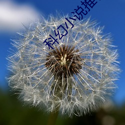 科幻(幻)小说推荐