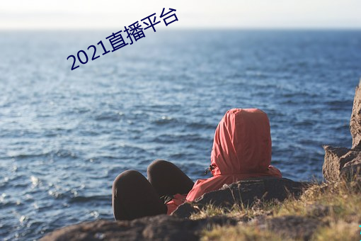 2021直播平台(台)