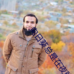 向日(日)葵(葵)总(總)是(是)在夜晚绽放动漫