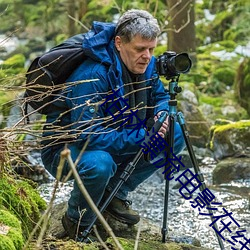 柏林漂流电影在线观看完整