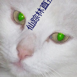 仙踪林直接入站网