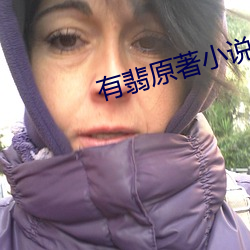 有翡原著小说