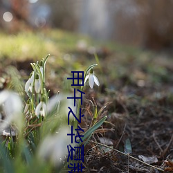 甲午之華夏新史