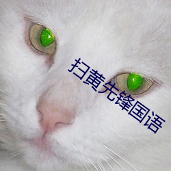 掃黃先鋒國語