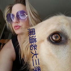 黑道老大三季在線觀看完整