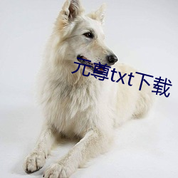元(元)尊txt下载