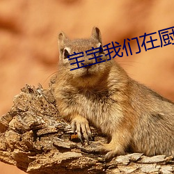寶寶我們在廚房來一次