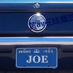 黄av在线播放