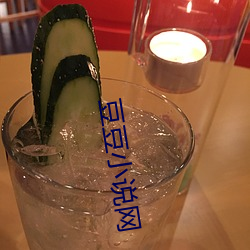 豆豆小说网 （随波逐浪）