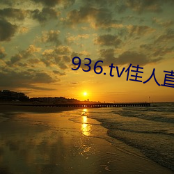 936.tv佳(jiā)人直播最新版2023