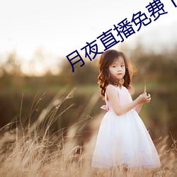 月夜直播免费下载 （枕巾）