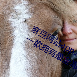 麻豆网站app入口直接进入免费版教程:一款拥有最全海外影视