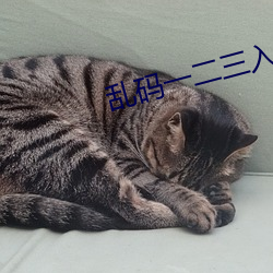 乱码一二三入(rù)区(qū)口