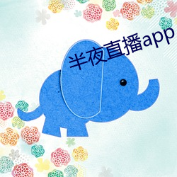 子夜直播app入口