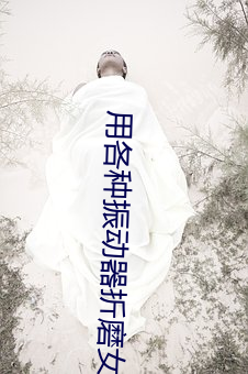 用各種振動器折磨女人的小
