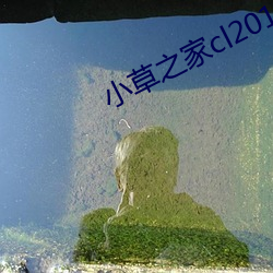 小(xiǎo)草之家cl2017