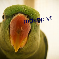 mdapp vt （遮地漫天）