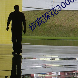 步宾探花3000元