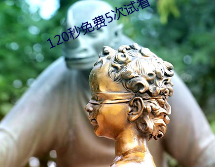 120秒免费5次试看