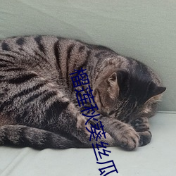 榴莲秋葵(ku)丝(sī)瓜香蕉18款