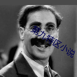 第九特区(區)小说(說)