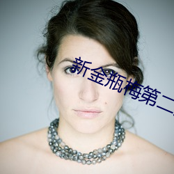 新(新)金(金)瓶梅第二集