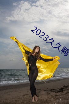 2023久久鸭