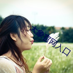 大象(象)官(官)网入口